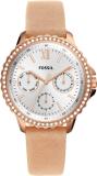 FOSSIL Izzy Izzy Analog Watch  - For Women