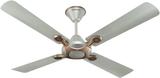 HAVELLS Leganza (52Watt) 1 Star 1200 mm 4 Blade Ceiling Fan (Ultra High Speed | bronze gold | Pack of 1)