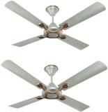 HAVELLS Leganza 4B(Pack of 2) 1 Star 1200 mm 4 Blade Ceiling Fan (Ultra High Speed | Bronze Gold | Pack of 2)