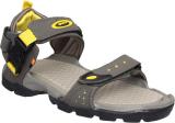 Sparx SS 502 Men Sandals (Grey , 8)