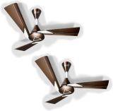 Orient Electric Orina 1200 mm 3 Blade Ceiling Fan (Silent Operation | CHOCOLATE BROWN-IVORY | Pack of 2)