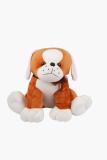 Sahaj Inc Stuffed Animal Soft Toy for Kids | Super Soft Toy for Boys and Girls Birthday Gift  - 20 cm (Brown)