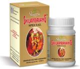 shree dhootapapeshwar limited Shilapravang Special