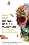 The Soul of the Marionette (English, Hardcover, Gray John)