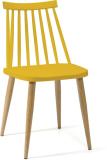 Finch Fox Plastic Dining Chair (Set of 1, Finish Color - Yellow)