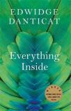 Everything Inside (English, Paperback, Danticat Edwidge)