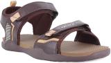 Sparx SS 122 Men Sandals (Brown , 8)