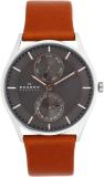 SKAGEN Holst Chronograph Holst Chronograph Analog Watch  - For Men