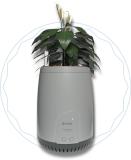 ubreathe Diwali Gift Portable Room Air Purifier (Grey)