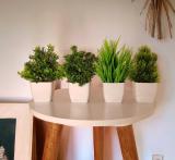 brozzo Decorative Grass Plant for Home Decor, Indoor, Office, Desk, Shelf Bonsai Artificial Plant  with Pot (10 cm, Green, White)