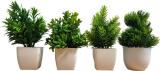 brozzo Bonsai Wild Artificial Plant  with Pot (20 cm, Green, White)