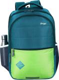 Goldstar Large 36 L Laptop Backpack Milestone Laptop Bag for Women and Men 36 L Laptop Backpack (Green)