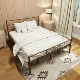 homdec Carina Metal Queen Bed (Finish Color - Brown, Delivery Condition - DIY(Do-It-Yourself))