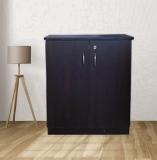 RSPOL CABINET Engineered Wood Free Standing Cabinet (Finish Color - SAWCUT DARK, Door Type- Hinged, Pre-assembled)