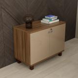 SPACEWOOD Engineered Wood Free Standing Cabinet (Finish Color - CAPACHINO, Door Type- Hinged, Knock Down)