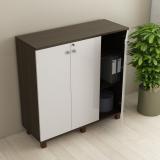 SPACEWOOD Engineered Wood Free Standing Cabinet (Finish Color - FUMED OAK, Door Type- Hinged, Knock Down)