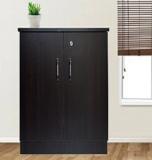 RSPOL CABINET Engineered Wood Free Standing Cabinet (Finish Color - SAWCUT DARK, Door Type- Hinged, Pre-assembled)