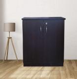 RSPOL Engineered Wood Free Standing Cabinet (Finish Color - GOLDEN DARK, Door Type- Hinged, Pre-assembled)