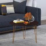 ANIKAA Gary Engineered Wood Coffee Table (Finish Color - Wenge, DIY(Do-It-Yourself))