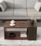 SPACEWOOD CT 107 Engineered Wood Coffee Table (Finish Color - SHEESHAM & FUMED OAK, Knock Down)