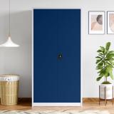 Godrej Interio Vurv Metal Almirah (Finish Color - Sapphire Blue, Knock Down)