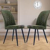 zidle CURRENCY CUSHION DINING CHAIR WITH FULL METAL BODY AND 1 YEAR WARRANTY Metal Dining Chair (Set of 2, Finish Color - green)