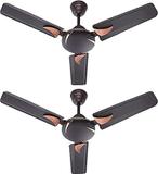 Candes Arena 3 Star 900 mm 3 Blade Ceiling Fan (Ultra High Speed | Coffee Brown | Pack of 2)
