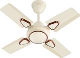 Candes Brio 600 mm 4 Blade Ceiling Fan (Anti Dust | Ivory | Pack of 1)