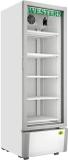 western refrigeration 340 L Single Door Glass Top Deep Freezer (White, SRC380HCF-GL Visi Cooler, 5 Star)