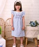 BEEBAY Indi Girls Midi/Knee Length Casual Dress (Blue, Cap Sleeve)