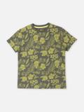 Pepe Jeans Boys Printed Pure Cotton Regular T Shirt (Green, Pack of 1)