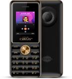 SAREGAMA Carvaan Mobile Bengali M11 with 1500 pre-loaded songs (Classic Black)