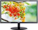 Enter 48.26 cm (19 inch) HD LED Backlit TN Panel Monitor (19 inch HD LED Monitor) (Response Time: 5 ms, 60 Hz Refresh Rate)