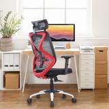 Vergo Transform High Back Ergonomic Home Office Chair | Headrest,2D Armrest,Lumbar | Mesh Office Executive Chair (Black, Red, DIY(Do-It-Yourself))