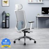 GREEN SOUL Cosmos Pro Premium High Back Ergonomic Chair | 4D Armrest,Headrest Mesh Office Adjustable Arm Chair (Blue, Optional Installation Available)