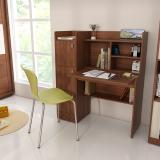 SPACEWOOD Winner Engineered Wood Study Table (Free Standing, Finish Color - WALNUT RIGATO, Knock Down)