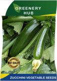 Greenery Hub Healthy Zucchini Seeds for a Bountiful Garden Harvest Seed (50 per packet)