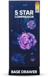 CANDY 190 L Direct Cool Single Door 5 Star Refrigerator Marine Floral, CSD2005DMF