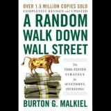 A Random Walk Down Wall Street: The Time-Tested Strategy For Successful Investing (Papaerback, Burton G. Malkiel)