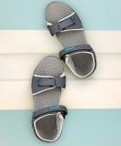 Roadster Men Sports Sandals (Grey , 7)