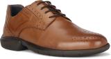 HUSH PUPPIES Derby For Men (Tan , 11)