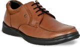 Allen Cooper Casuals For Men (Tan , 10)