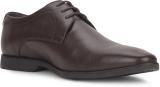 HUSH PUPPIES Hush Puppies Casual And Formal Derby Shoes for Men Derby For Men (Brown , 8)