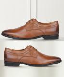 HUSH PUPPIES Brogues For Men (Tan , 9)