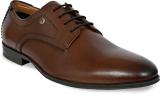 Allen Cooper ACFS-19107-BROWN Lace Up For Men (Brown , 10)