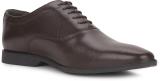 HUSH PUPPIES Hush Puppies Casual And Formal Oxford Shoes for Men Oxford For Men (Brown , 8)