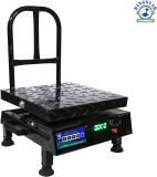 King Star 300Kitchen Metal Plat Capacity 100Kg Accuracy 10g Minimmum 200g Weighing Scale (Multicolor)