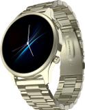 Noise Evolve 4 Metal Edition with 1.46 inch AMOLED Display & Bluetooth Calling Smartwatch (Elite Nickel Strap, Regular)