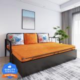 Flipkart Perfect Homes Studio With Storage 3 Seater Double Metal Pull Out Sofa Cum Bed (Finish Color - Orange with Printed Cushion Delivery Condition - Knock Down)