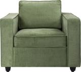 Wakefit Napper Plus Fabric 1 Seater  Sofa (Finish Color - Reflection Green, DIY(Do-It-Yourself))